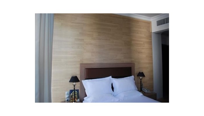 Athens Lotus Hotel poza 26