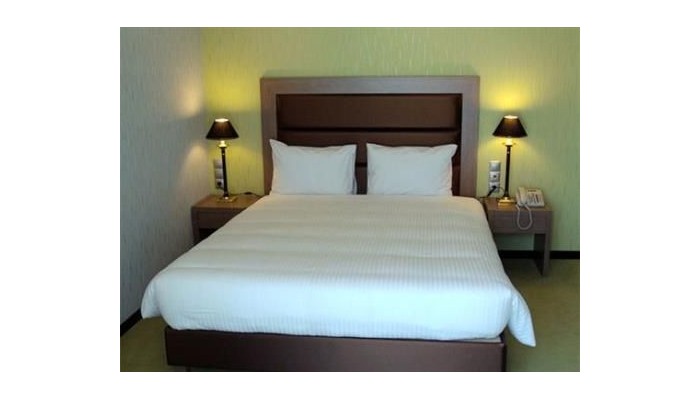 Athens Lotus Hotel poza 29