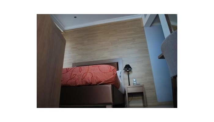 Athens Lotus Hotel poza 30