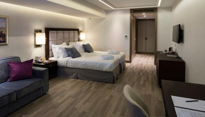 Hotel Electra Metropolis Athens poza 8