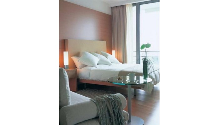 Hotel Hilton Athens poza 24