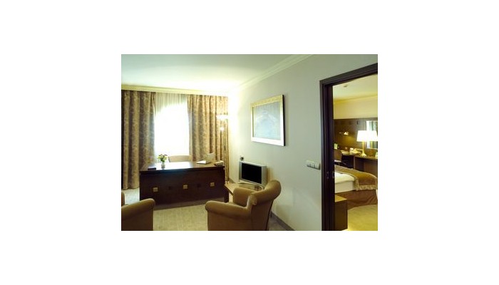 Hotel Holiday Inn Athens Airport poza 9