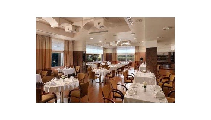 Hotel Holiday Inn Athens Attica Av, Airport W. poza 5