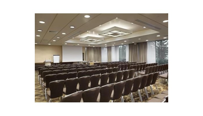 Hotel Holiday Inn Athens Attica Av, Airport W. poza 14