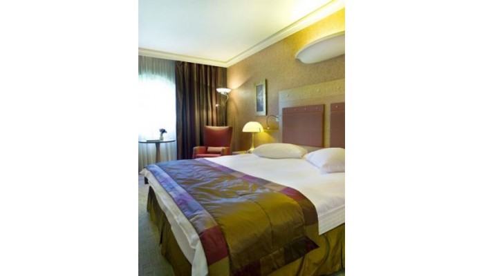 Hotel Holiday Inn Athens Attica Av, Airport W. poza 39