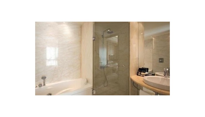 Hotel Melia Athens poza 37