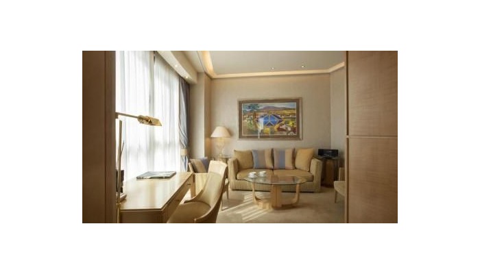 Hotel Melia Athens poza 19