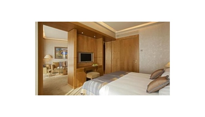 Hotel Melia Athens poza 11