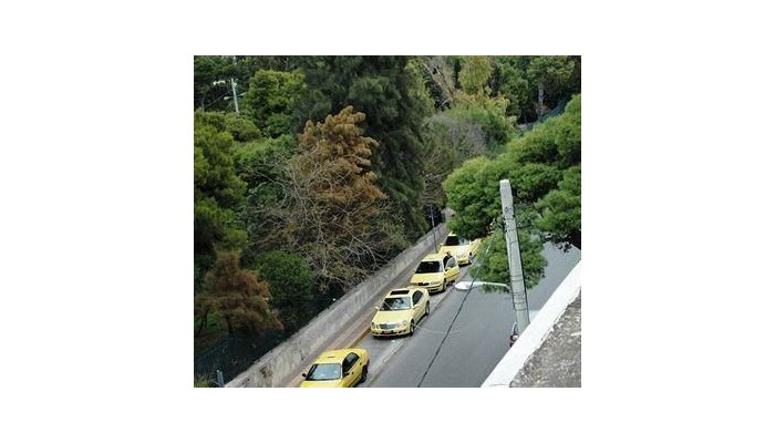 Hotel Miramare poza 29