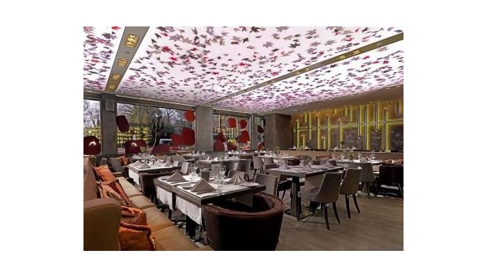 Radisson Blu Park Hotel poza 28