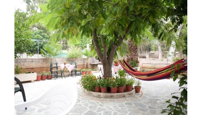 Poza pentru Hotel Veggie Garden Athens B&b 3902-1636033931 Hotel Veggie Garden Athens B&b poza 13