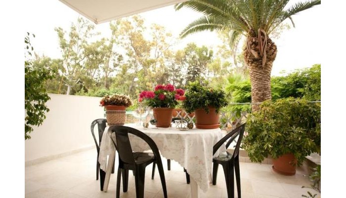 Poza pentru Hotel Veggie Garden Athens B&b 4652-1636033933 Hotel Veggie Garden Athens B&b poza 14