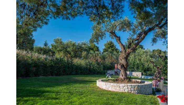 Mirabilia Boutique Hotel poza 9