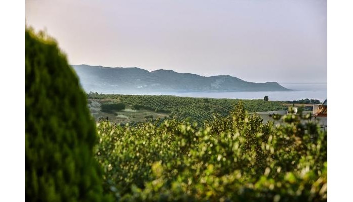 Hotel Boutique Residence poza 3