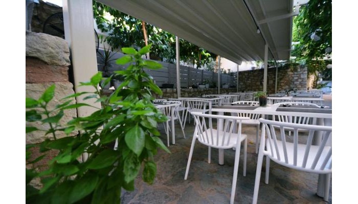 Hotel Dimitrios Beach poza 6