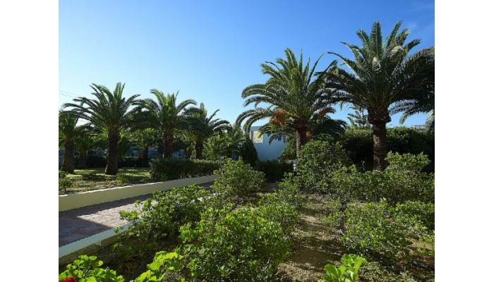 Hotel Eleftheria poza 17