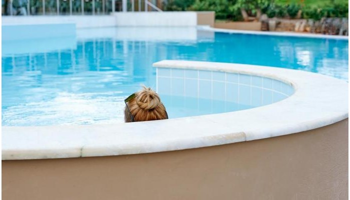 Village Heights Resort poza 8