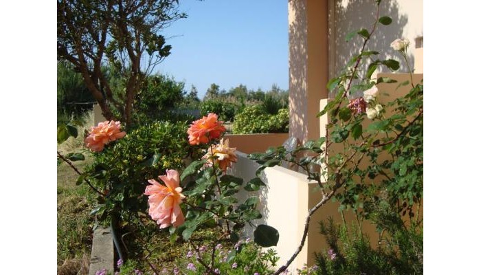 Hotel Athina poza 7