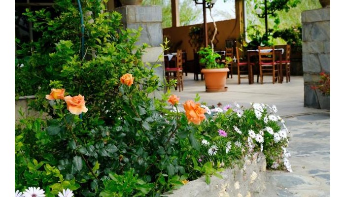 Hotel Athina poza 6