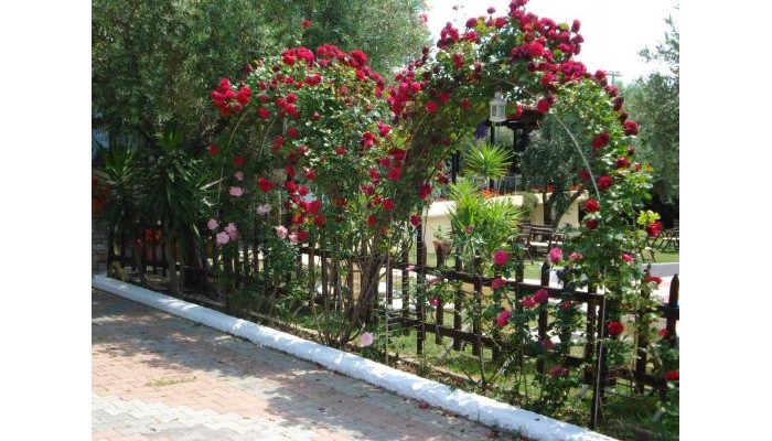 Asteris Village poza 7