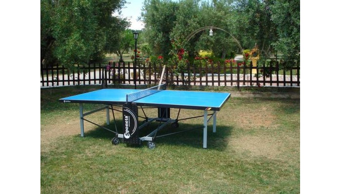 Asteris Village poza 14