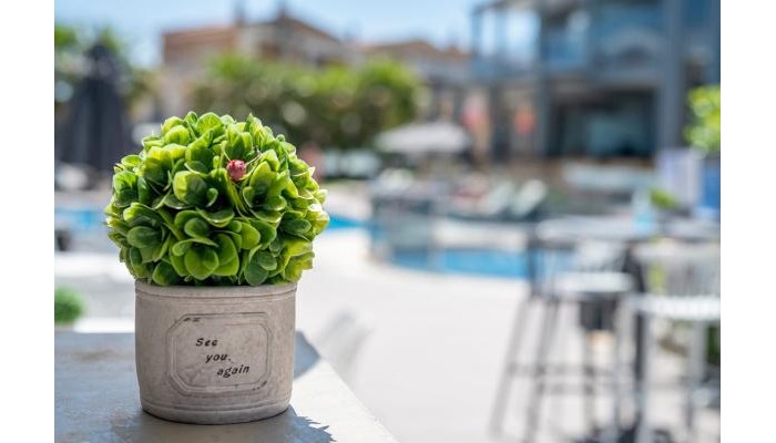 Dionysos Hotel & Suites poza 9