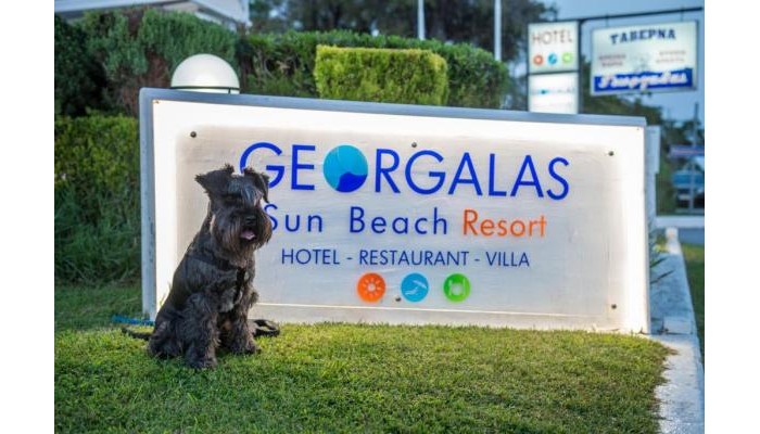 Georgalas Sun Beach Hotel & Vila poza 0