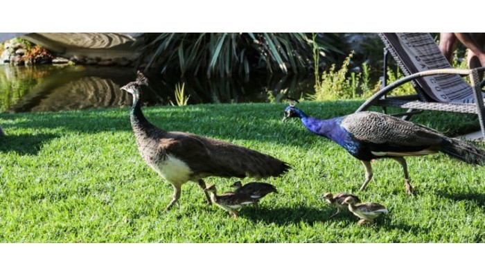 Hotel Achtis poza 15