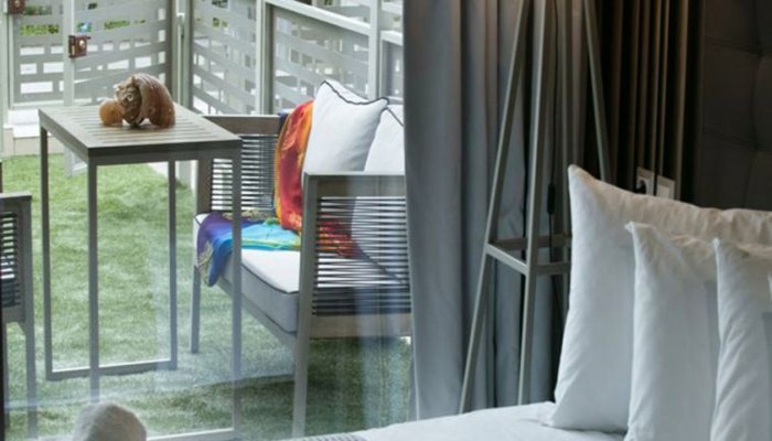 Hotel Akti Toroni Boutique poza 23