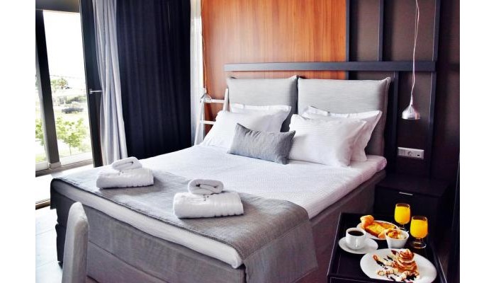 Hotel Alexander Inn poza 6