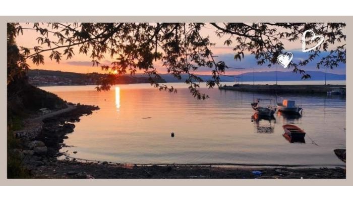 Hotel Alexandra poza 13