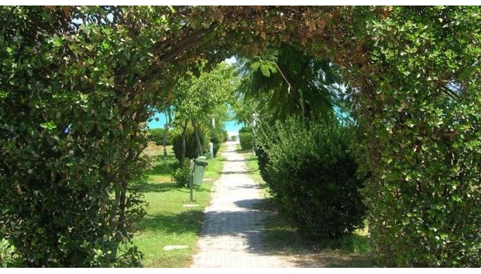 Apartments Eleni 4 Seasons poza 10