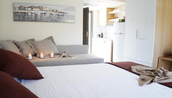 Hotel Artemis Plaza poza 3