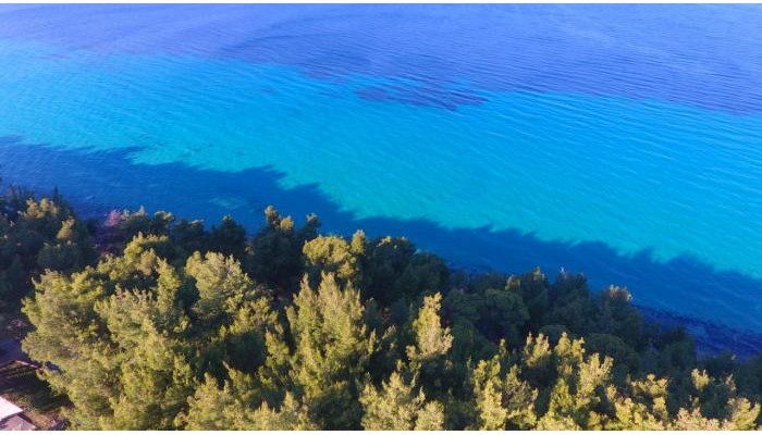 Poza pentru Hotel Country Inn 5814-1600332422 Hotel Country Inn poza 21