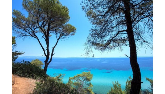 Hotel Elies 33 Bio Retreat - Adults Only poza 9