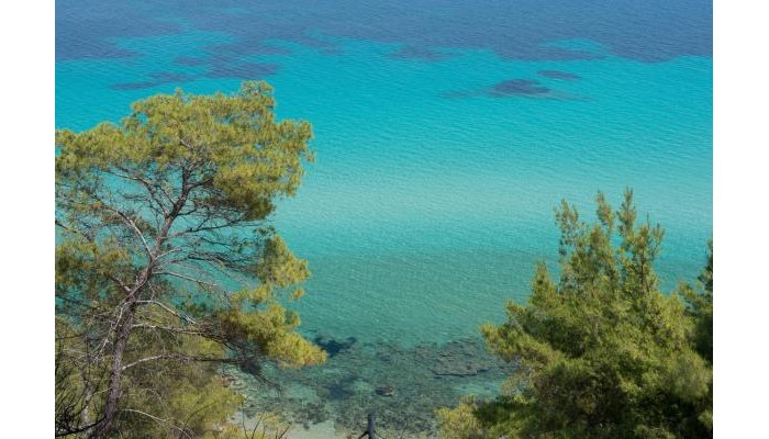 Hotel Elies 33 Bio Retreat - Adults Only poza 19