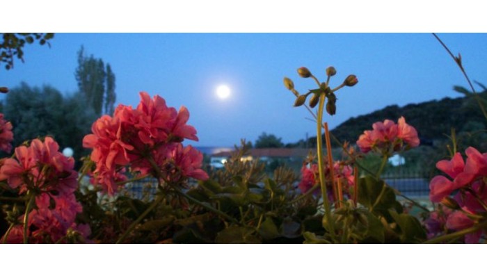 Hotel Ermioni poza 13