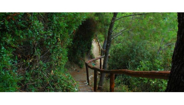 Hotel Evripidis poza 5