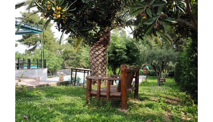 Hotel Giannikos poza 5