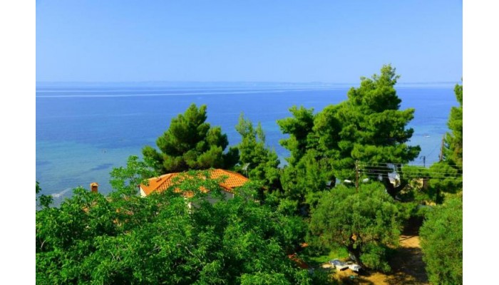 Hotel Golden Beach Metamorfosi poza 13