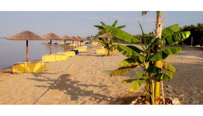 Hotel Martha's Haus poza 10