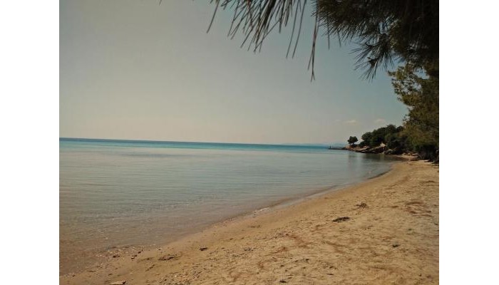 Hotel Moriel Seaside Homes Suites poza 11