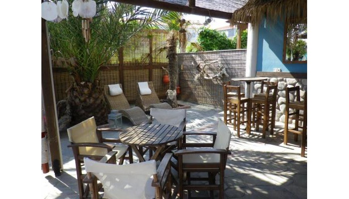 Nemo Studios poza 18