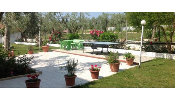 Hotel Olympic Bibis poza 13