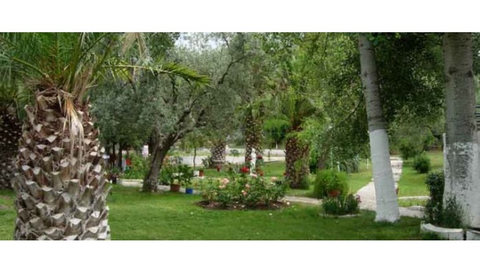 Hotel Olympic Bibis poza 7