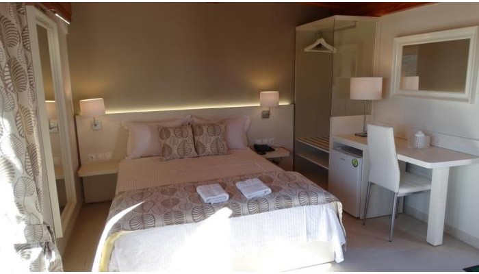 Hotel Pansion Athos Guesthouse poza 2