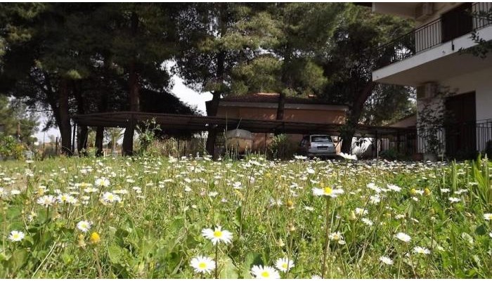 Pefka Studios & Apartments poza 17