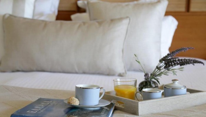 Hotel Porto Carras Meliton poza 11