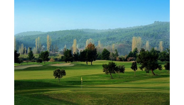 Hotel Porto Carras Sithonia poza 6