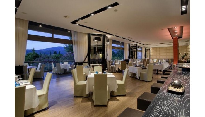 Hotel Porto Carras Sithonia poza 8